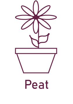 Purple icon of flower growing in a pot
