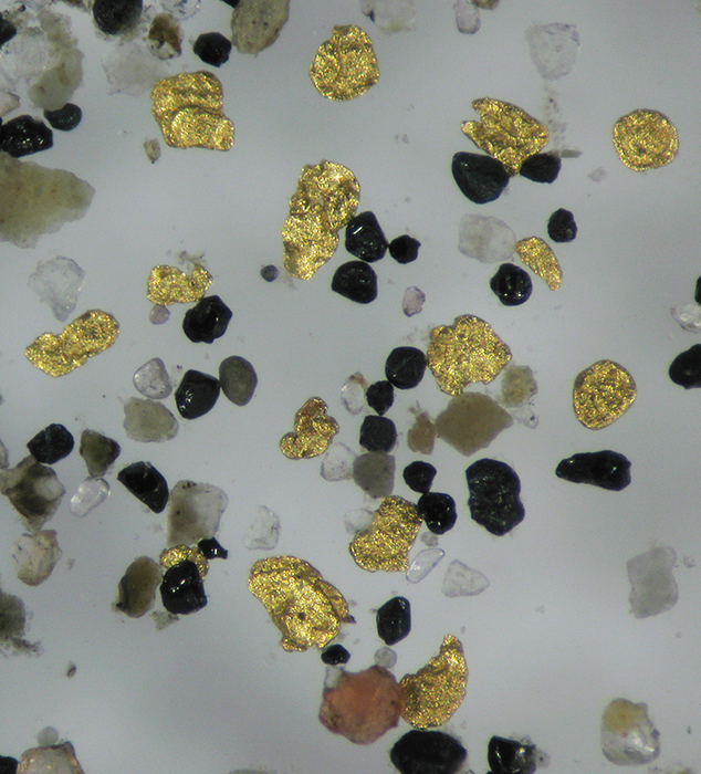 Flakes of gold and other minerals commonly found with gold including black magnetite, pink garnet, and transluscent quartz