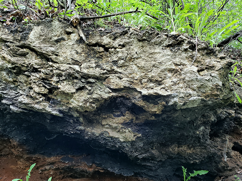 Outcrop of tufa showing light coloured, black organic-rich, and red ochre-rich regions
