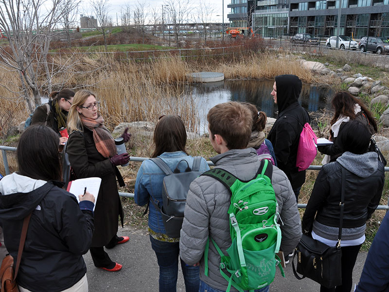 Field School students in Toronto discussing a water reservoir as they study it