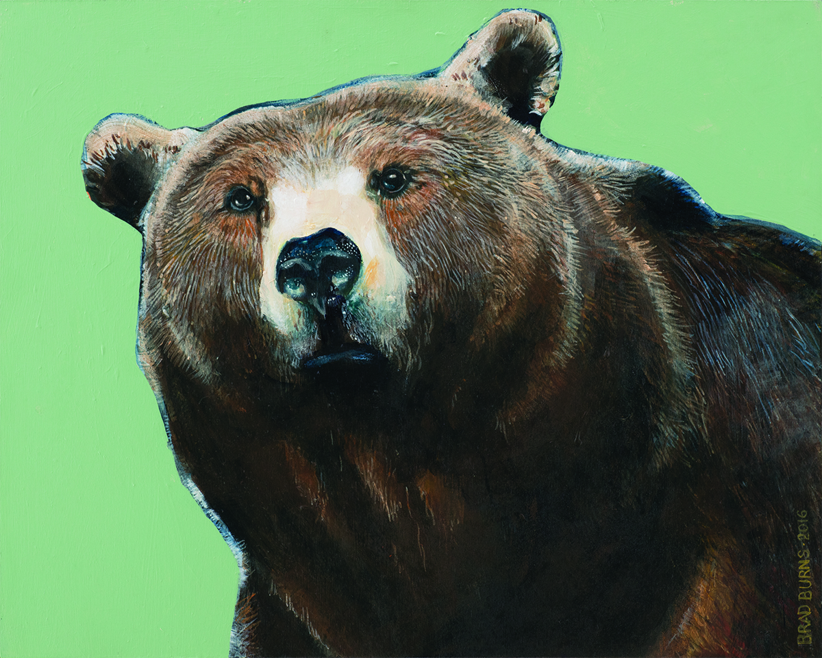 primary_bear-portrait.jpg