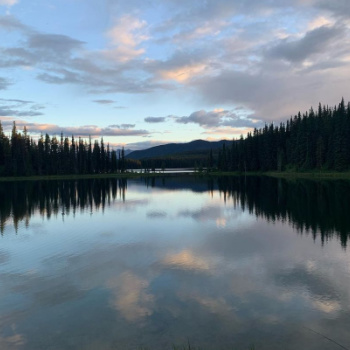 lake surrounded by trees