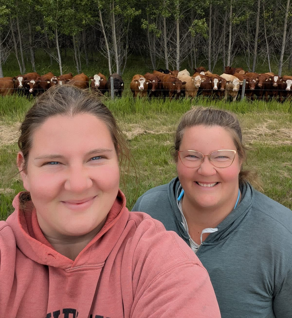2 people selfie in front of the herd of cows