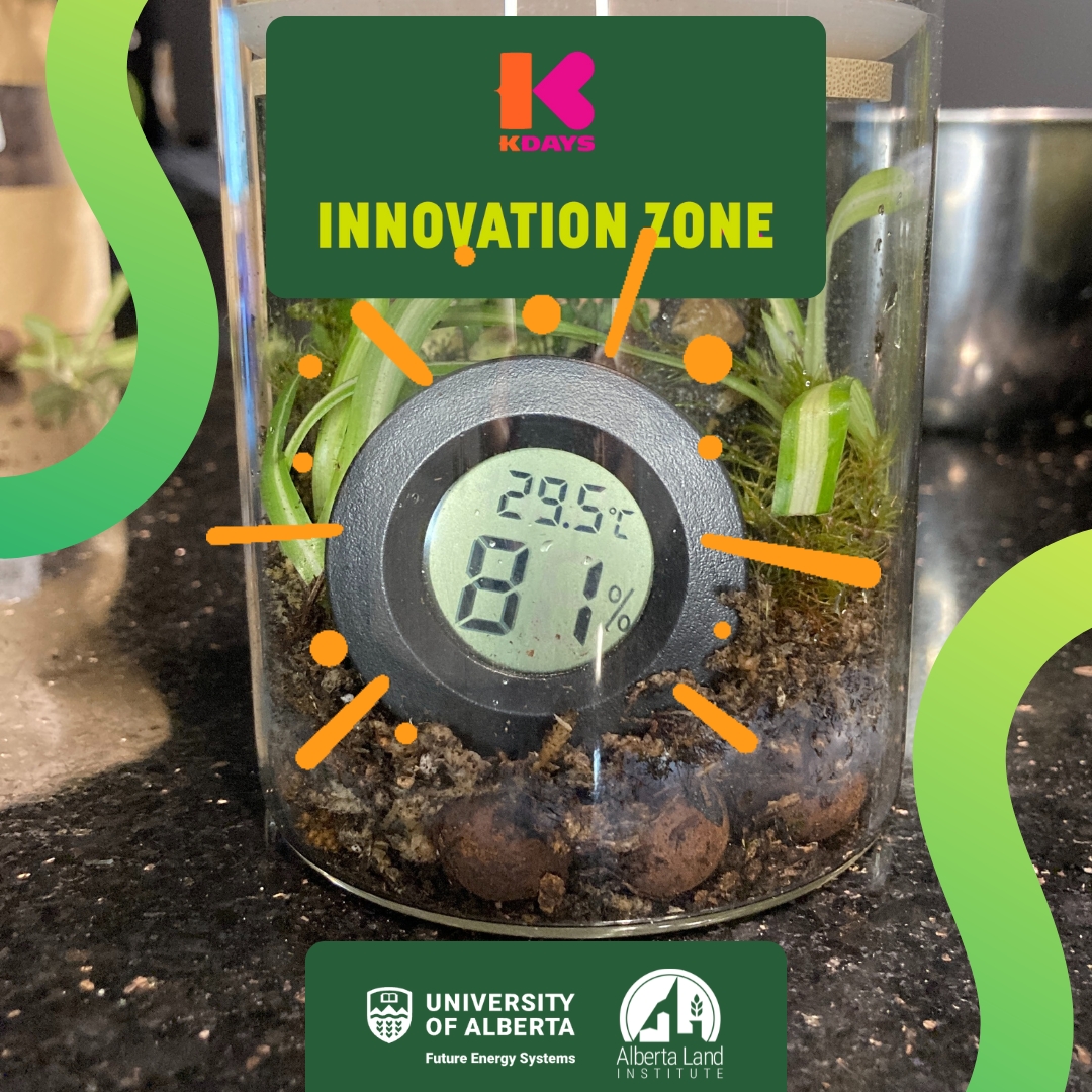 K day energy image 1