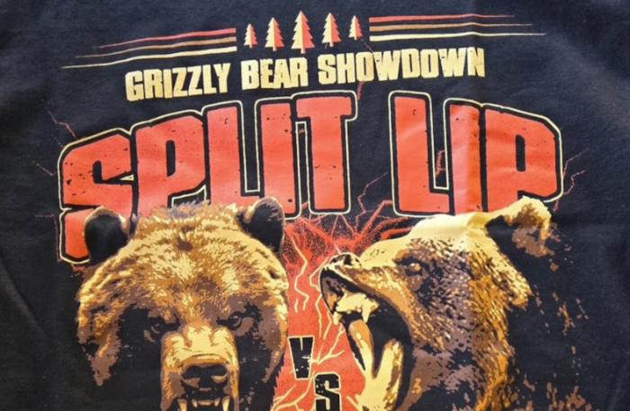 bears