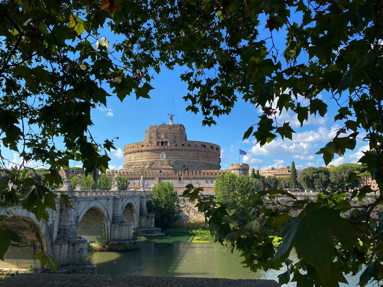 Through the Leaves of Rome