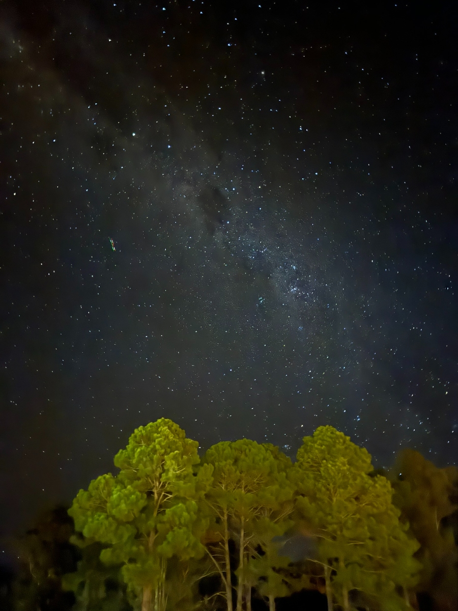 Stargazing by Cameron Frenette