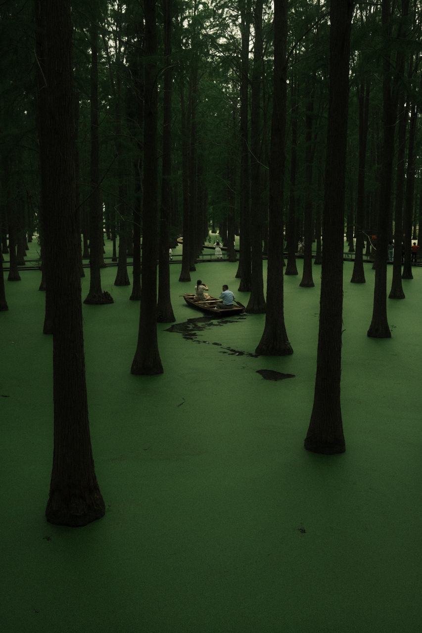 Solace