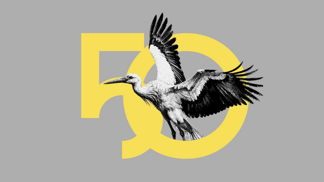 new-new-web-recent-cover-1.png