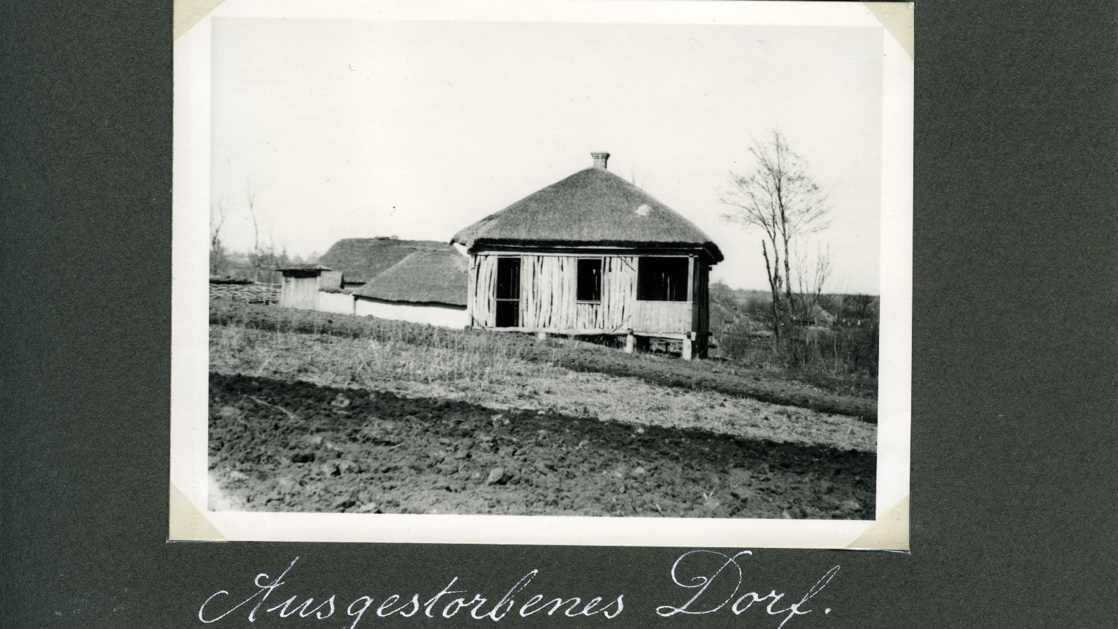 photographer-alexander-wienerberger.jpg