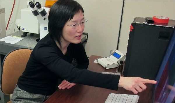ing-swie-biomarker.jpg