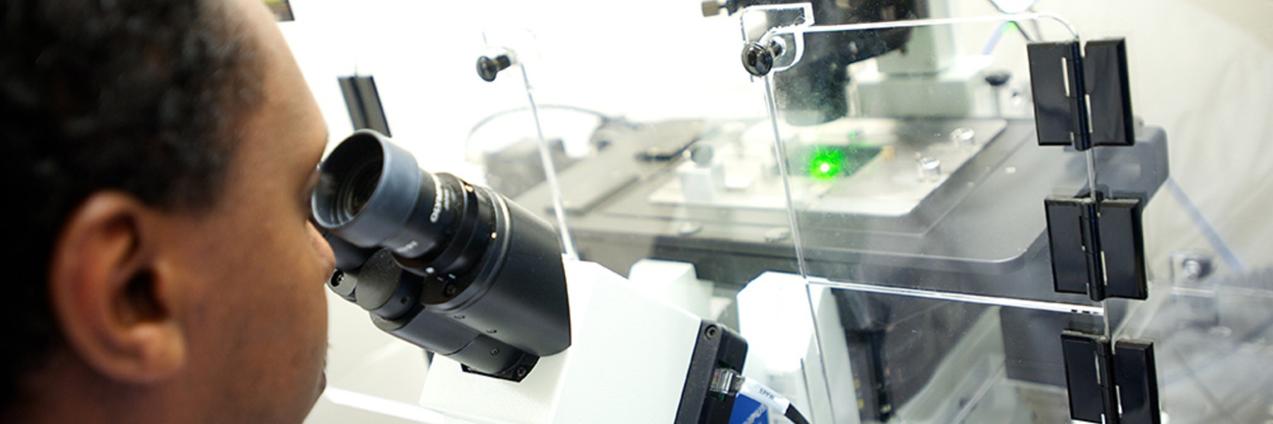 A student uses a microscope