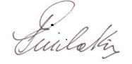 Evangelos Michelakis' signature