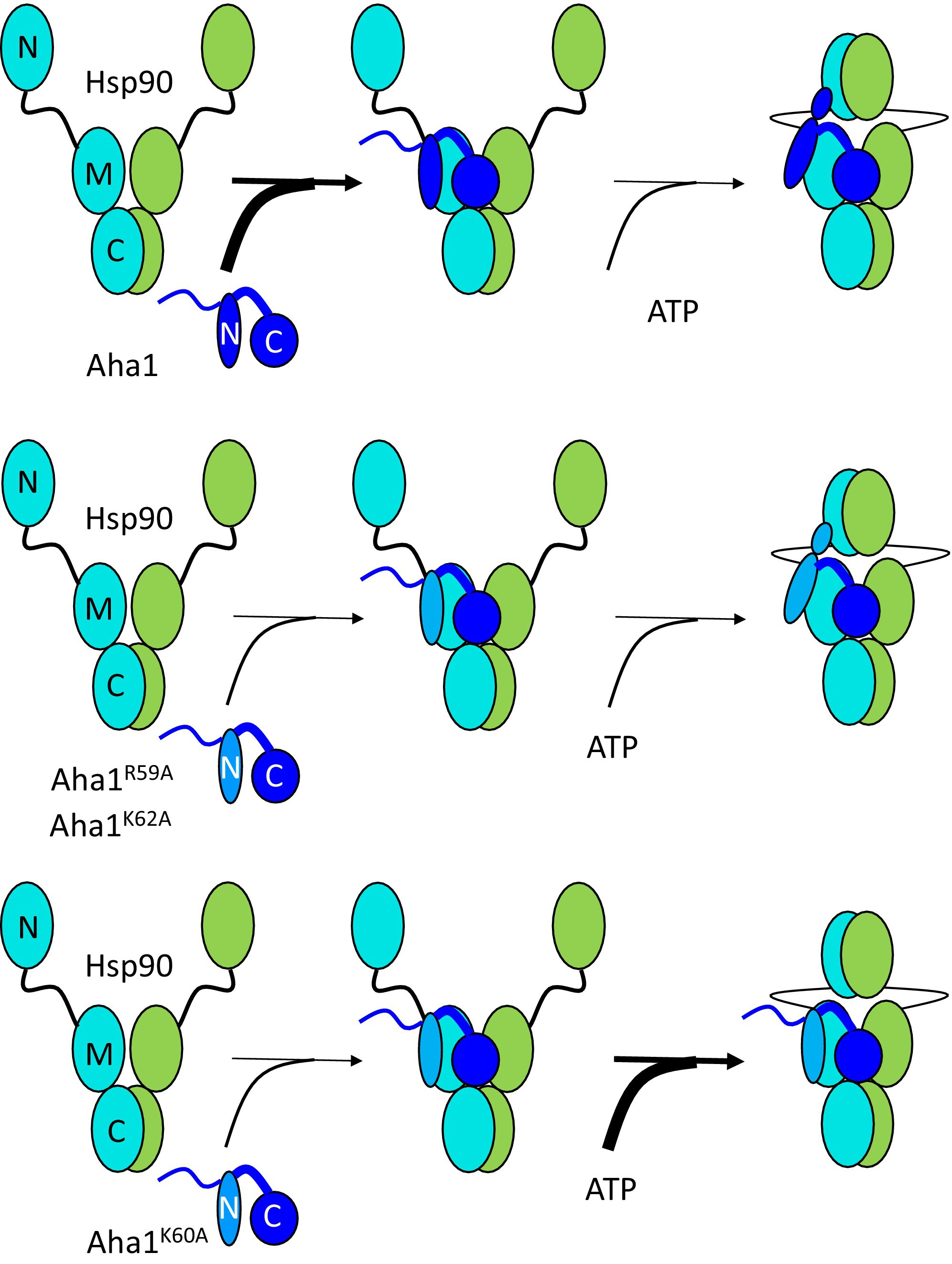 Graphical Abstract