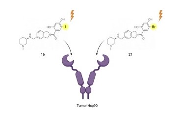 Graphical Abstract