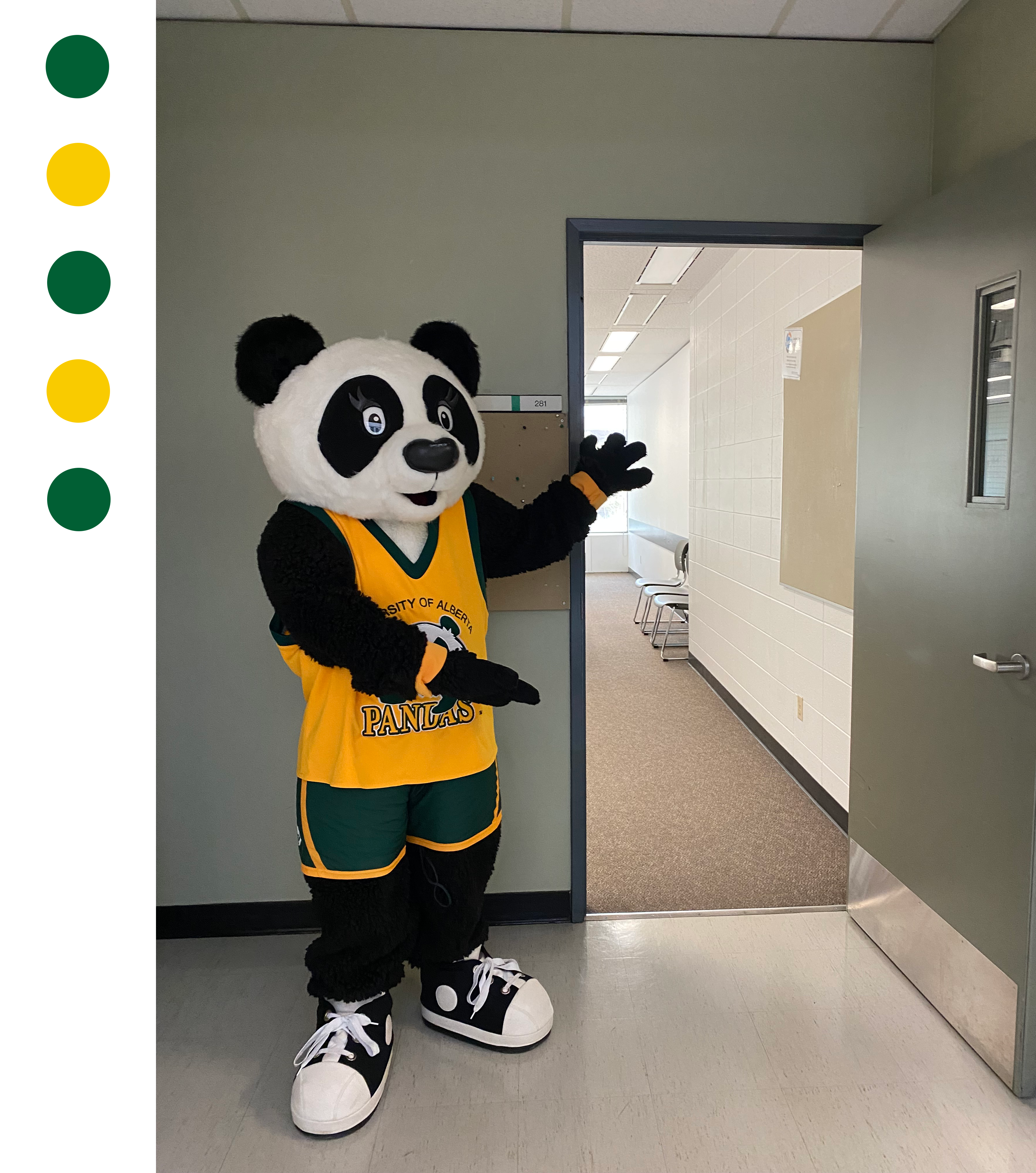 Patches the panda, welcoming the viewer into the classroom.