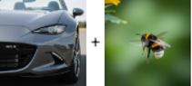 [Image: car with an MX-5 on the front grille] + [Image 2: A bee]