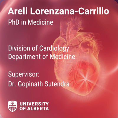 Supervisor: Dr. Gopinath Sutendra