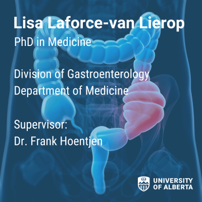 Supervisor: Dr. Frank Hoentjen