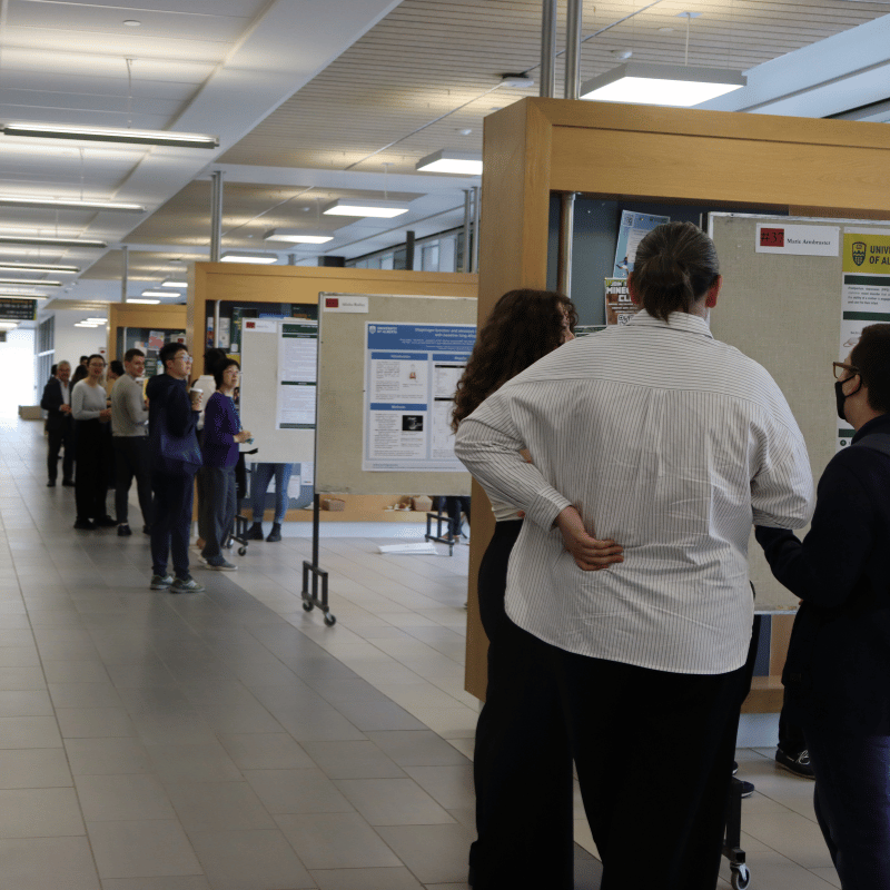 Poster boards