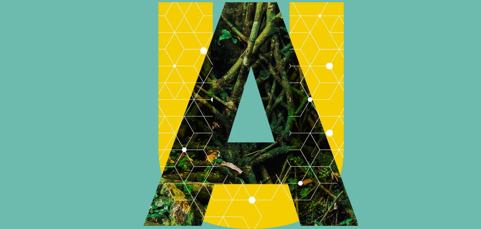 Banner image for Applause for Teachers Contest