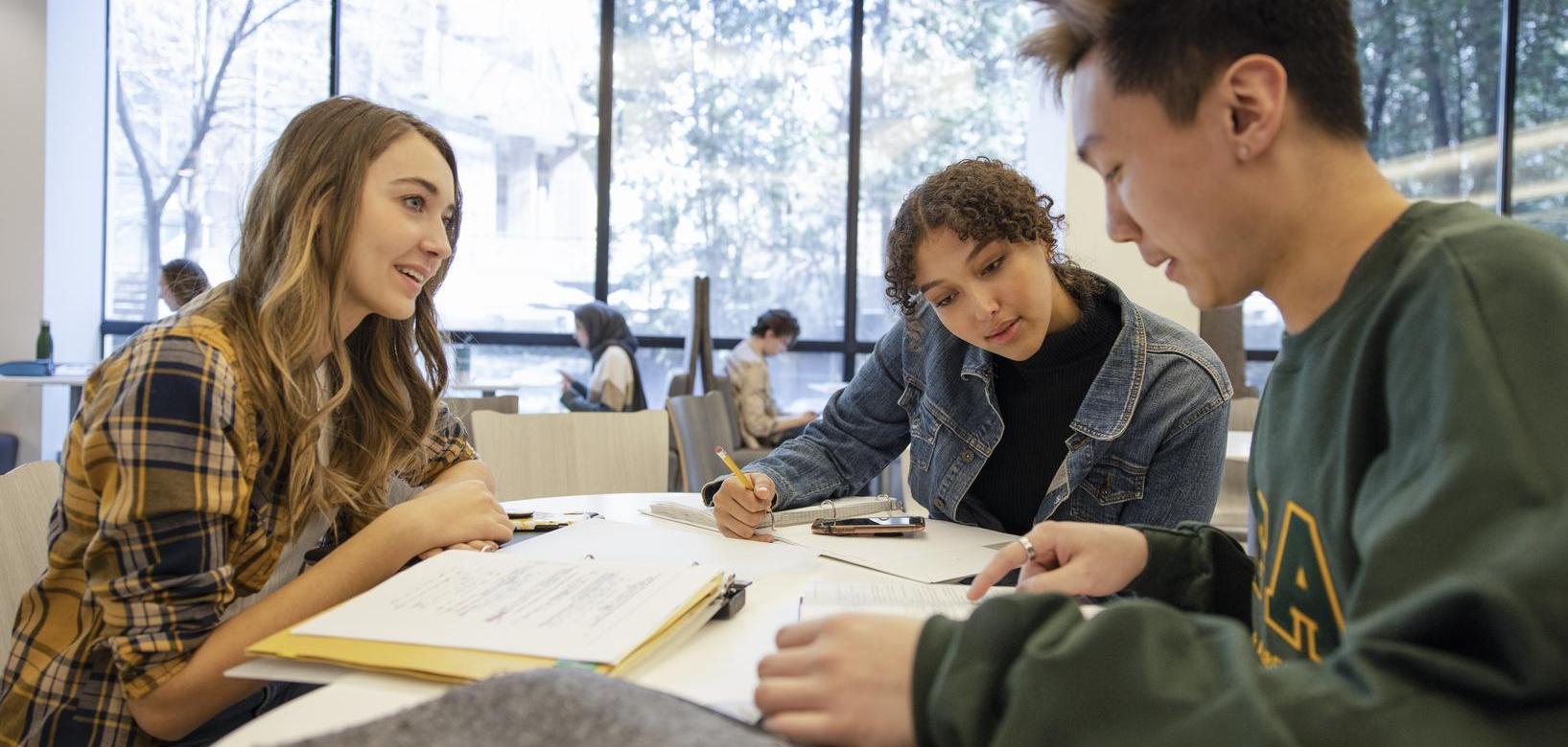 Banner image for Undergraduate Program Changes
