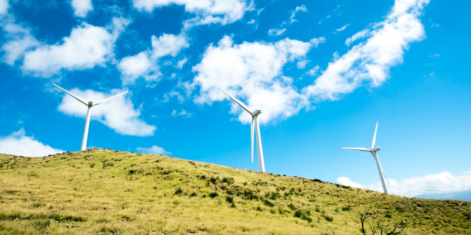 windmills_medium.jpeg