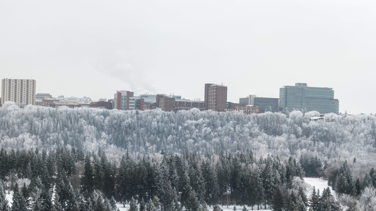 2026-02-19-ualberta-winter-main.jpg