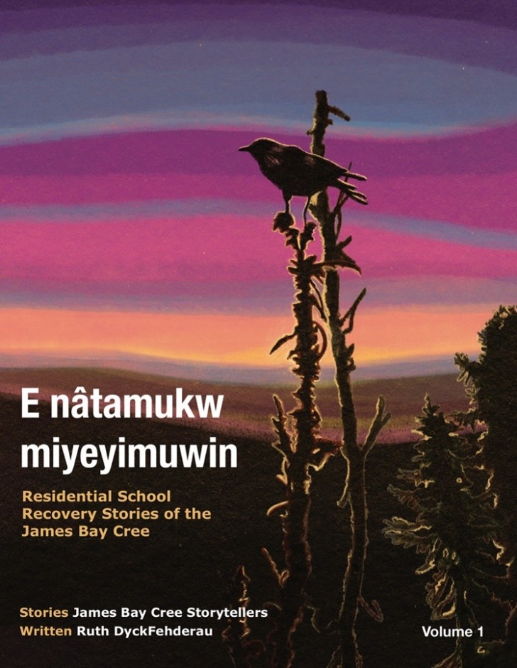 E nâtamukw miyeyimuwin: Residential School Recovery Stories of the James Bay Cree, Vol One