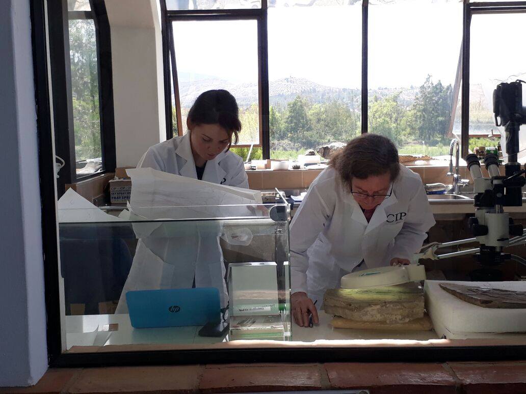 Oksana Vernygora (left) working with her PhD supervisor Alison Murray on the 2018 study in which they identified a previously unknown species of ancient "lizard fish." (Photo: Supplied)