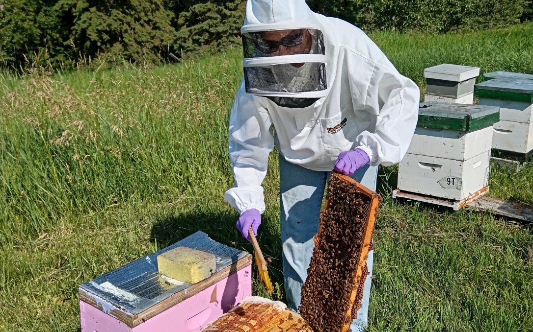 Rosie Whiskeyjack did research with bees during her summer internship with the I-STEAM Pathways program. (Photo: Supplied)