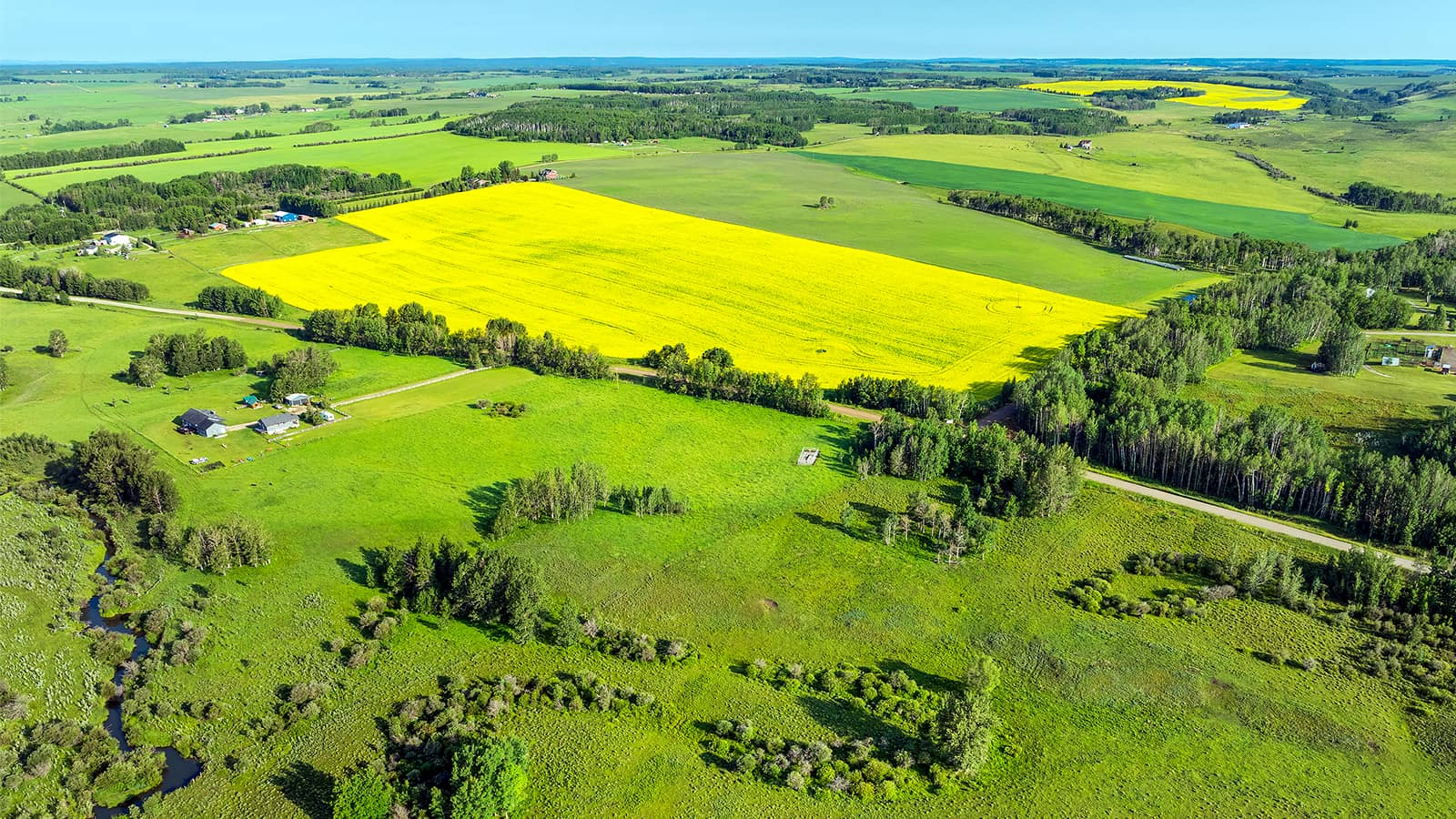 crop fields
