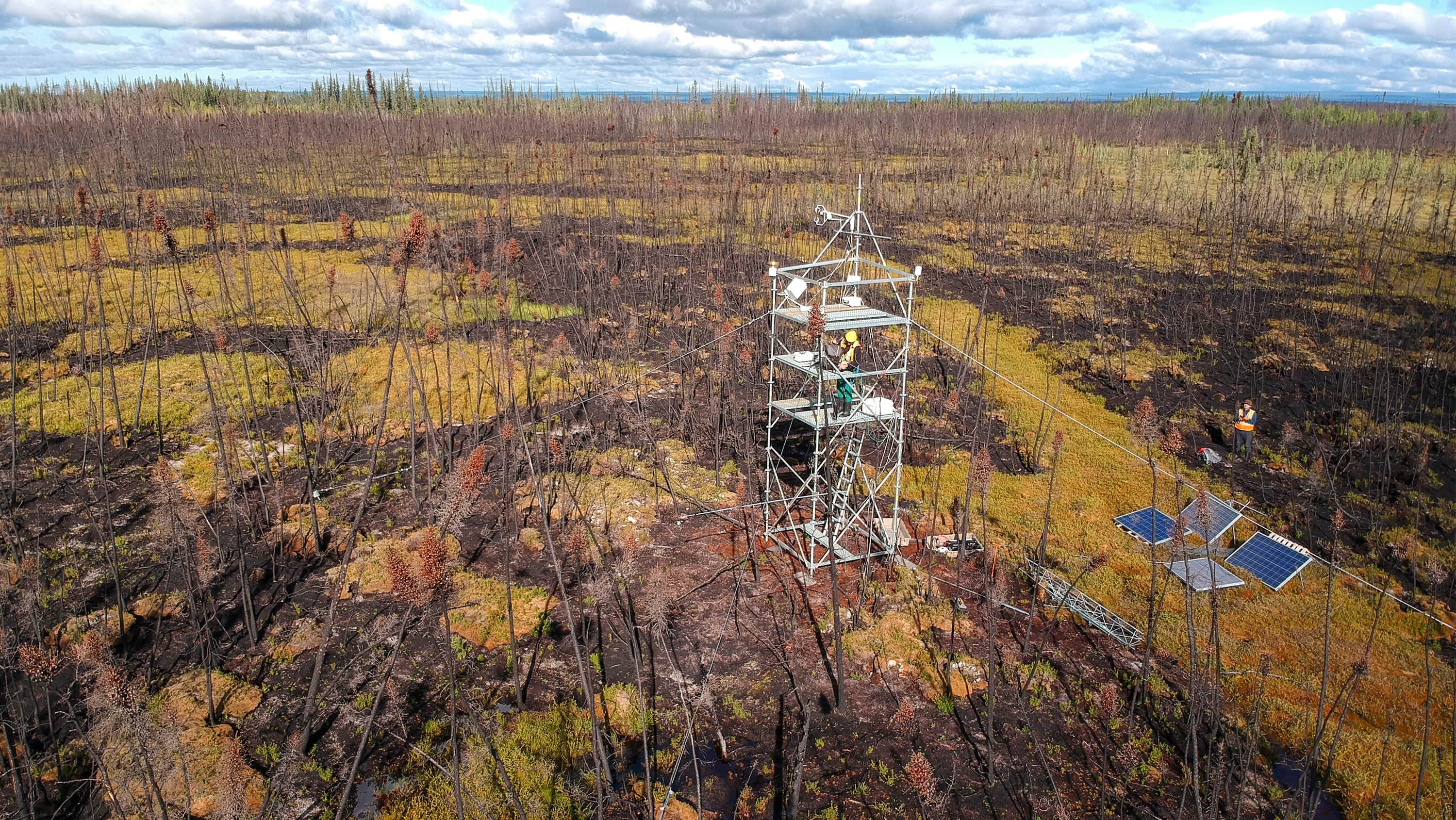 260305-peatland-wildfires-main-16x9-3000.jpg