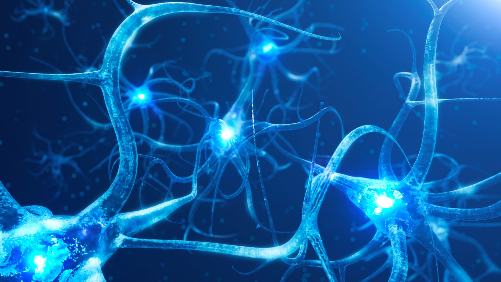 260401-cihr-v3neurons-teaser-1600.jpg