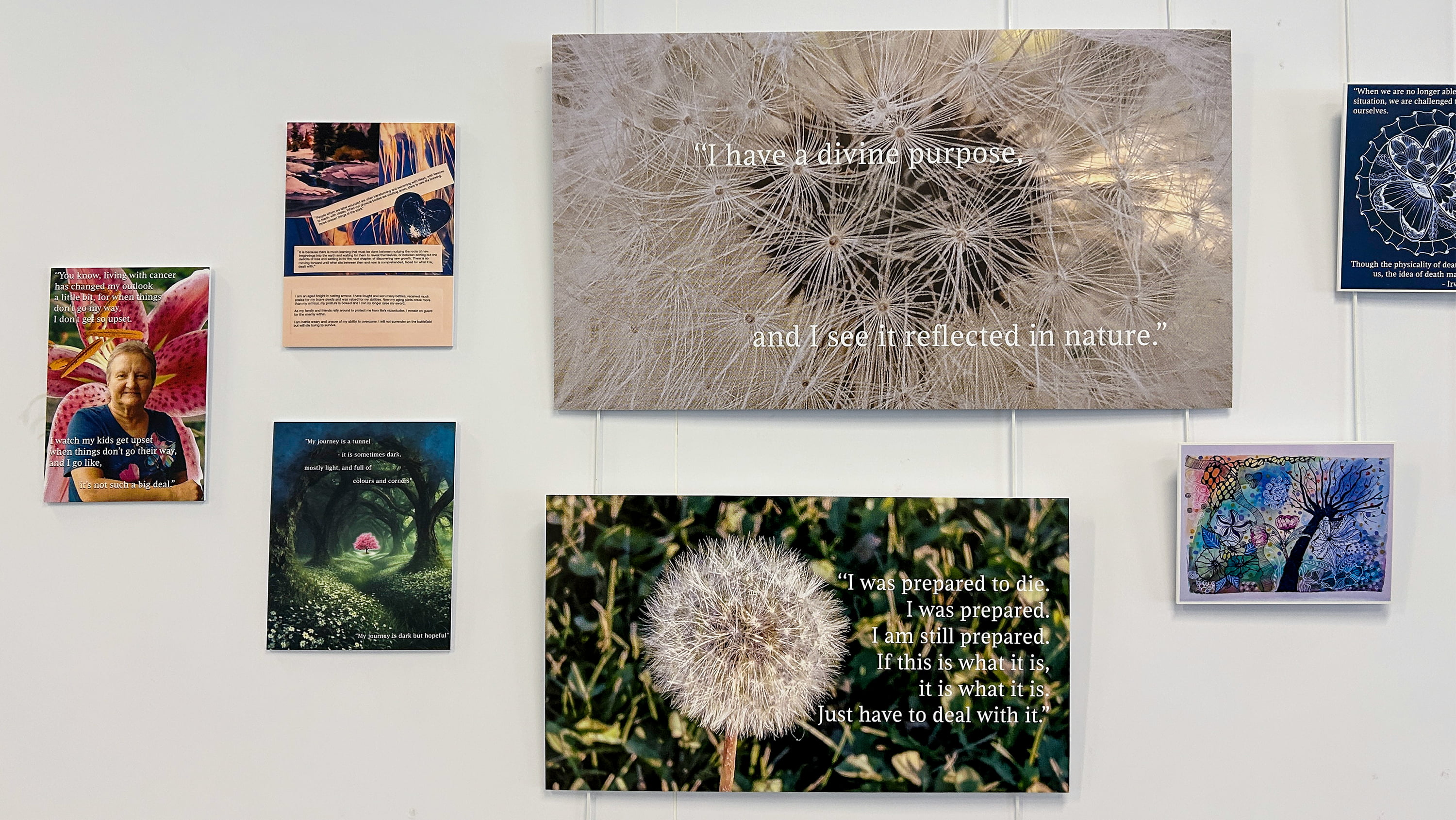 A selection of artworks from the LONGEVITI exhibition