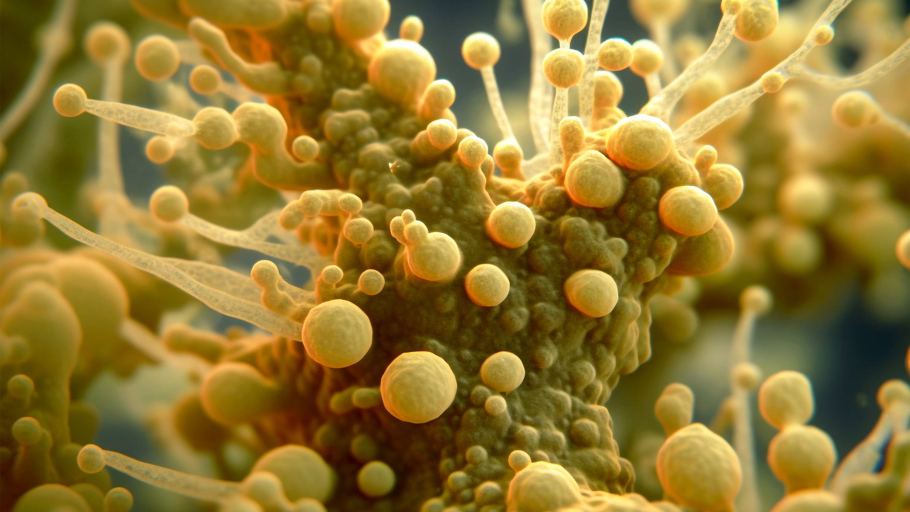 A computer-generated rendering of a bacterium. (Photo: Getty Images)