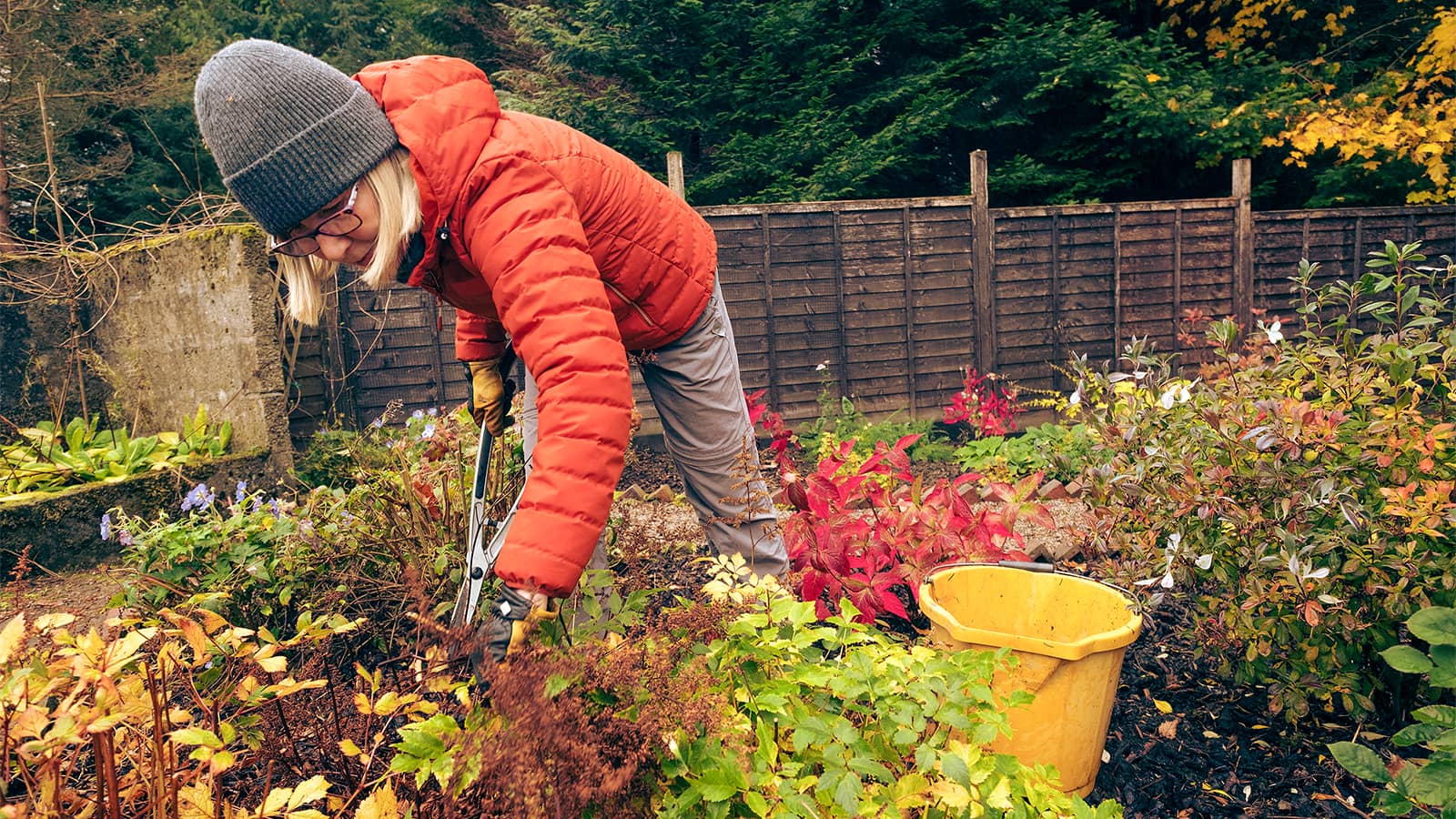 As gardeners put their yards to bed for the winter, there are a few things to keep in mind — starting with the need to water this fall, says a horticulturist with the U of A Botanic Garden. (Photo: Getty Images)