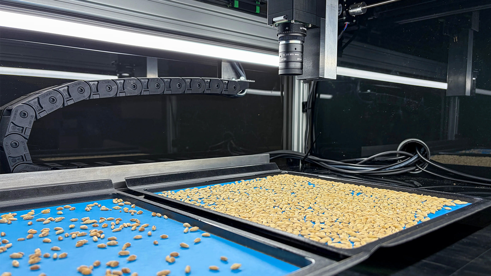 The SABER robotic platform uses a high-resolution camera on a robotic arm to scan seeds, speeding up inspection times to ensure safety for domestic use and export. (Photo: Geoff McMaster)