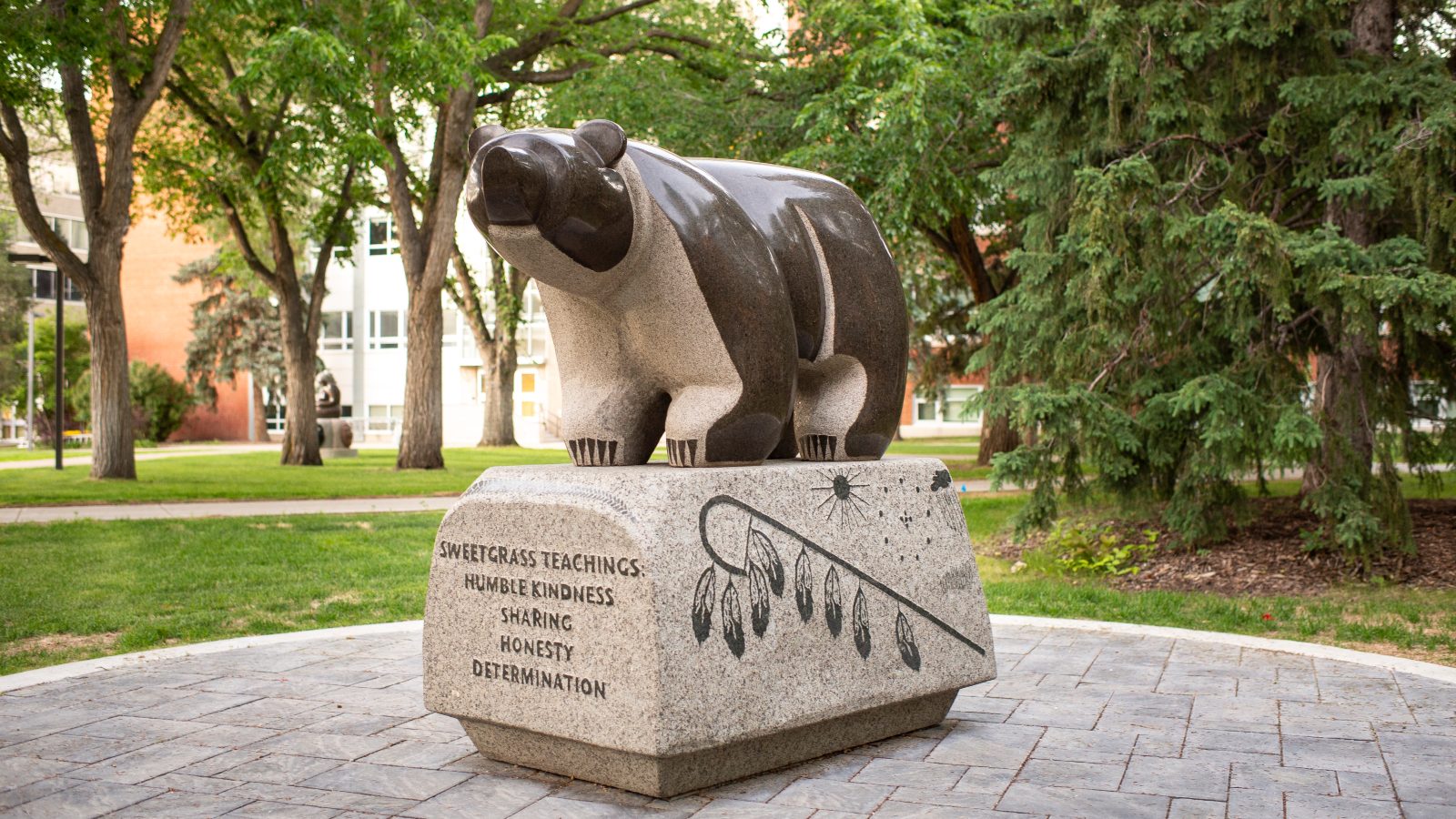 sweetgrass-bear-in-quad-stewart-steinhauer-carver.jpg