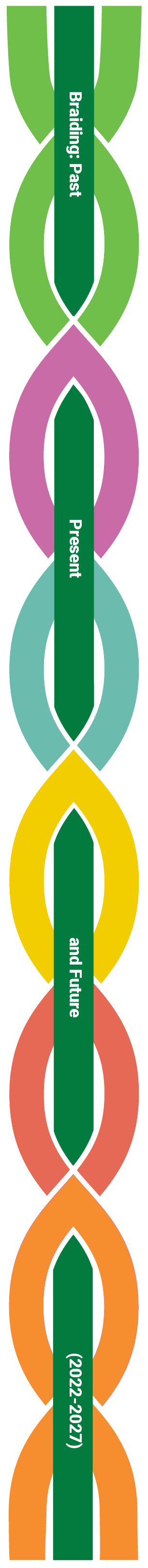 Braiding: Past, Present and Future (2022-2027)