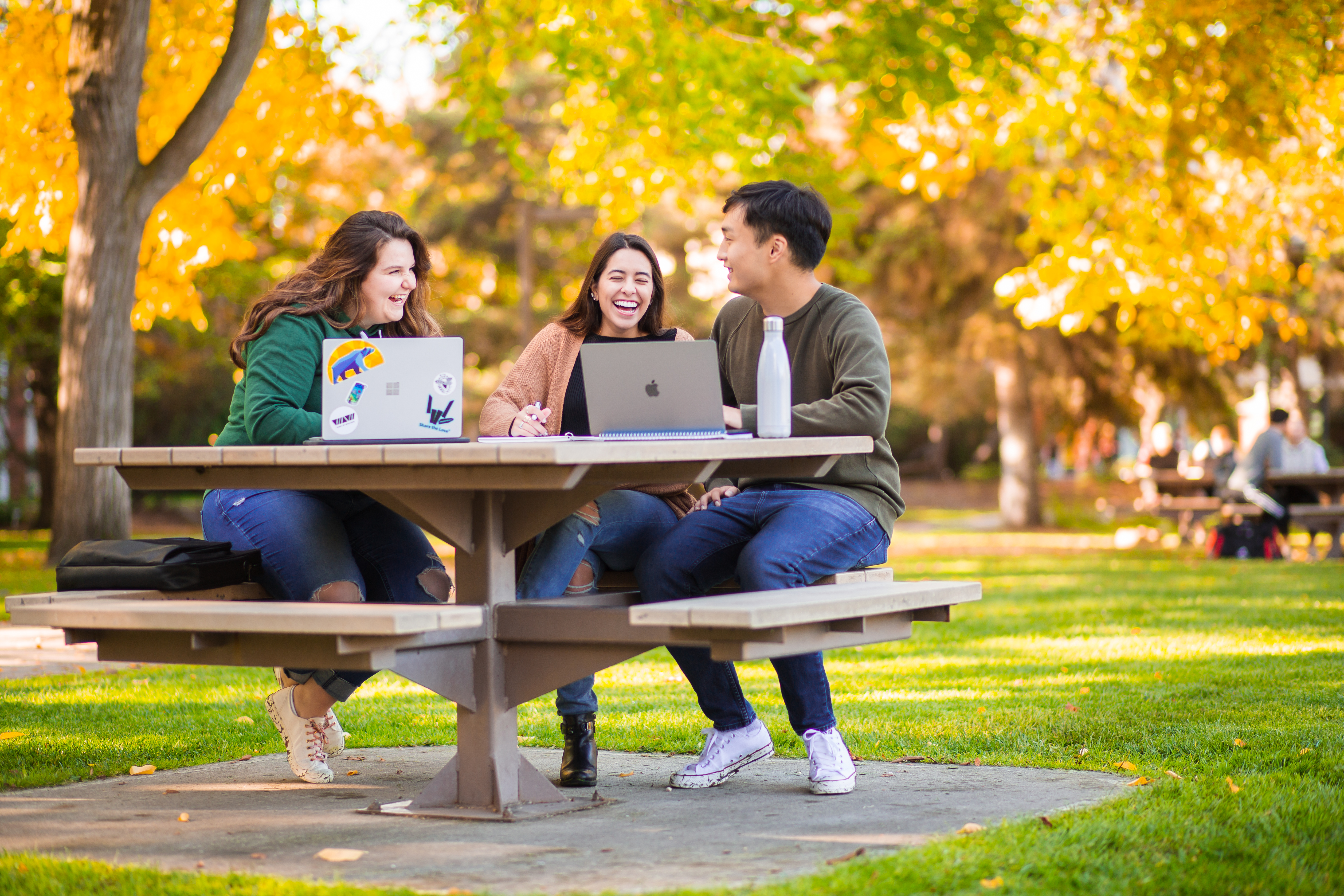 colleagues-meeting-crop-small.jpg