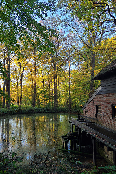 Dutch countryside