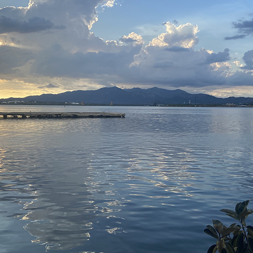 ocean-view-500x500.jpg