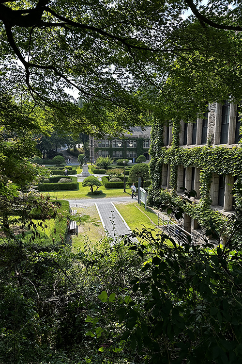 Yonsei University Campus