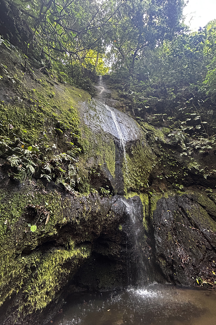 Waterfall