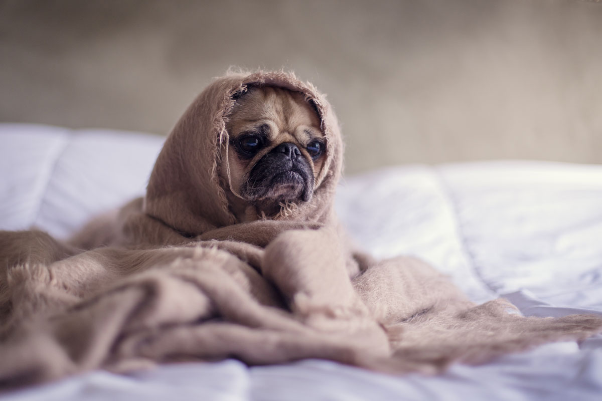 picture_-i-am-having-a-hard-time-feeling-motivated.jpg
