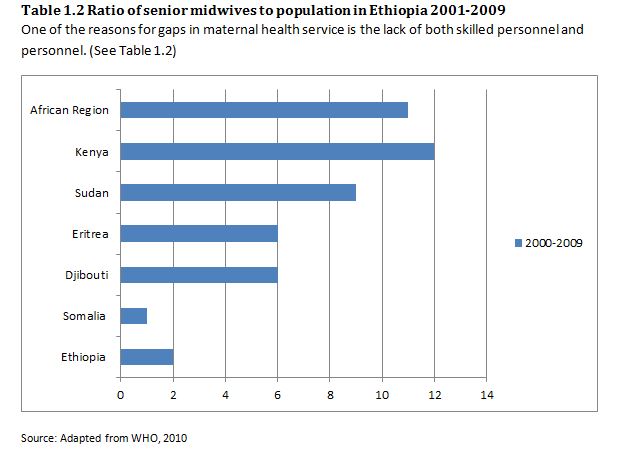 table showing midwives per population