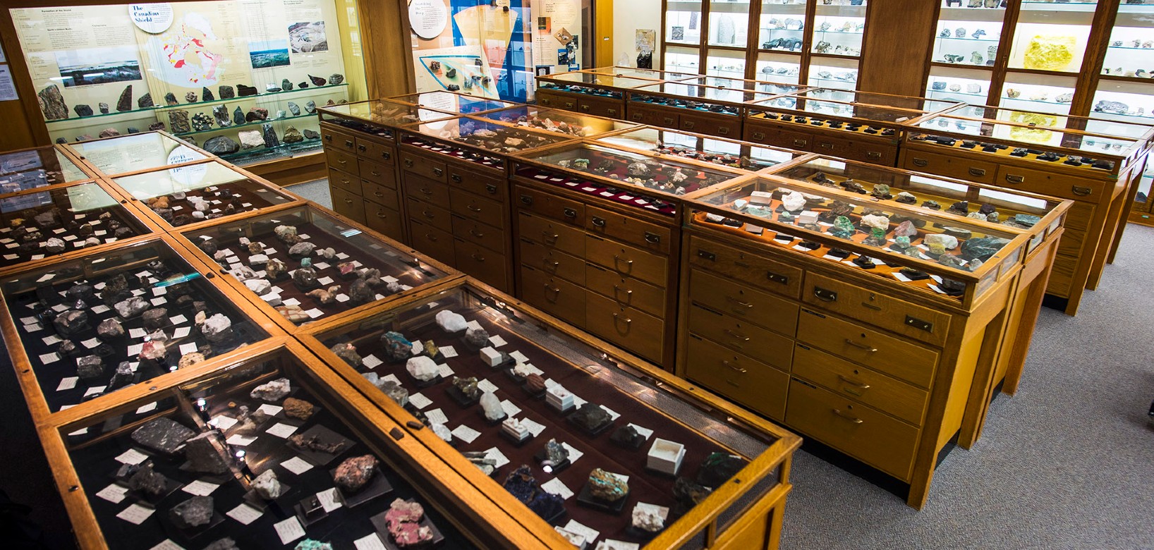 room with cases showcasing rocks and minerals