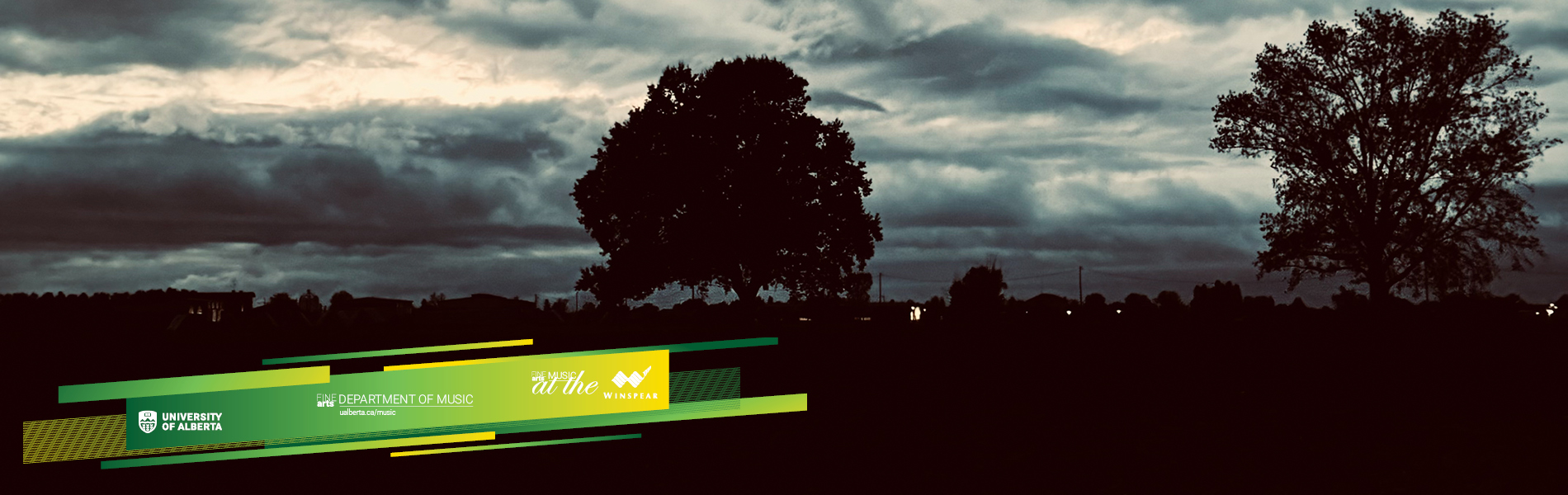 dark greyscale photo of a stand of trees silhouetted against a stormy sky