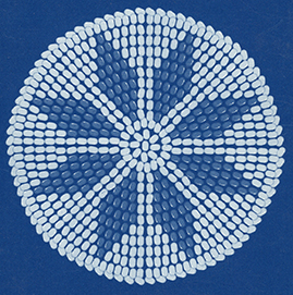 Design created for Carl Urion by the late Johnny Samson (Samson Cree First Nation) in 1978.